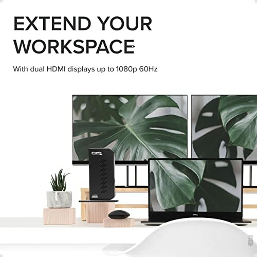 Dual monitor setup with docking station and plant.