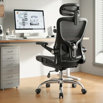 Ergonomic Office Chair