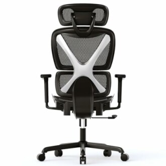 GABRYLLY Ergonomic Office Chair