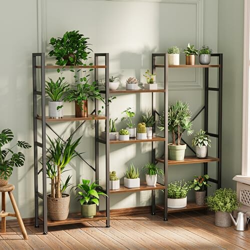 Indoor plants arranged on wooden shelves with metal frames.